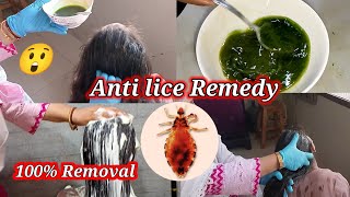 Anti Lice Remedy  100 Removal  BinteSaeed Kitchen and Life [upl. by Eibocaj]