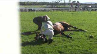 Racing horse death by accident in Galway [upl. by Elleined237]