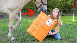 Mijn paard VERSTOORT de Epplejeck UNBOXING  WINACTIE [upl. by Ecnaralc40]