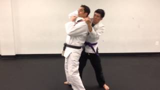 Gracie JiuJitsu Rear Choke Defenses [upl. by Etnad]