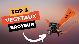 TOP 3  Meilleur Broyeur Végétaux 2024 🔥 [upl. by Crissy]