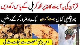 Powerfull Qurani Wazifa اینٹ کی بل کے پاس یہ آیت لکھ کر رکھ دیں بس💰 [upl. by Leifer]