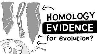 Is Homology Evidence for Evolution Long Story Short Ep 1 [upl. by Sergo]