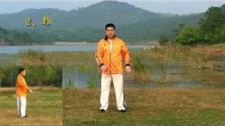 Tai Chi Chuan 28 Forms by Master James FuFu Qing Quan  Authentic Yang Style [upl. by Odidnac47]