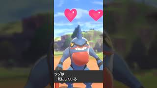 ドクロッグ Toxicroak 【ポケモン剣盾】 [upl. by Rhodie]