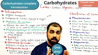 Carbohydrates complete introduction  classification of carbohydrates  class 11  in Urdu  Hindi [upl. by Eerdna]