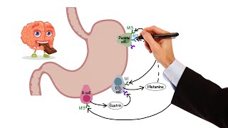 Pharmacology  GASTROINTESTINAL AND ANTIEMETIC DRUGS MADE EASY [upl. by Tamis]