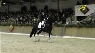 Diamo Gold OLD 2013 wwwhengststationahlersde [upl. by Sissy74]