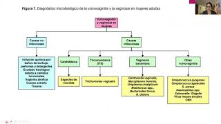 EXUDADO VAGINAL Y URETRAL MICRO [upl. by Harland]