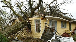 Dangerous Fastest Idiots Cutting Tree Fails Skill With Chainsaw Tree Falling on Houses Compilation [upl. by Patten]