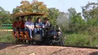 WRC Video 161  Impressive 15 in Gauge Railways [upl. by Tjaden]