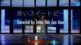 赤いスイートピー／松田聖子 Covered by Jaka Ska Jan Gee（歌詞・コード付き）赤いスイートピー 松田聖子 cover カバー 歌ってみた [upl. by Henricks]