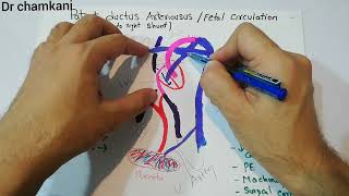 CVS 236  Patent ductus arteriosus  Left to Right shunt Fetal circulation [upl. by Nwahsar]