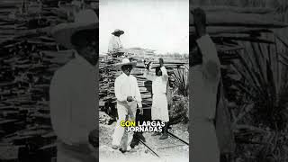 3 fotos que debés conocer del México antiguo  Oficios historia mexicoantiguo mexico [upl. by Ogren]