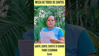 SANTO SANTO SANTO É O SENHOR musicasparamissa cantosliturgicos todosossantos [upl. by Nawtna]