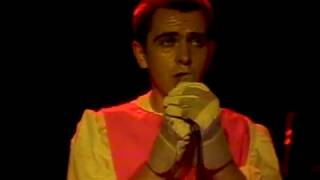 Peter Gabriel  Perspective Rockpalast TV Performance 1978 [upl. by Calida287]