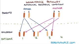 Understanding Autosomal Dominant and Autosomal Recessive Inheritance [upl. by Roseline]