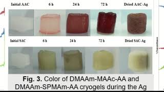 Cryogel with silver nanoparticles for efficient iodide removal from water 15th MC conference UK2021 [upl. by Meekar835]