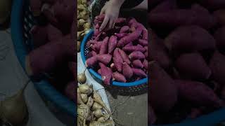 Go to the night Market to buy potatoes and Jicama fruit food jicama potato [upl. by Prem]