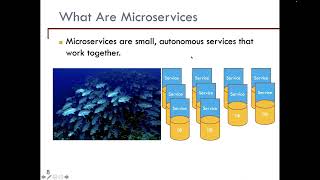 Onur Demirors  Eventbased Size Measurement for Reactive Microservicebased Systems [upl. by Trubow194]