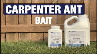 Advance Carpenter Ant Bait [upl. by Adlin]