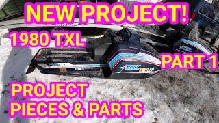 Introducing Project Pieces and Parts 1980 Polaris TXL 340 Vintage Snowmobile Its a Basket Case [upl. by Hamirak120]