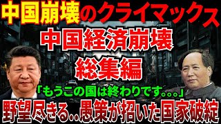 中国の経済崩壊がついにカウントダウン！南水北調プロジェクトや一帯一路の負の連鎖が止まらない【総集編】【ずんだもん＆ゆっくり解説】 [upl. by Drofniw]