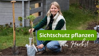 Ich pflanze die ersten Sträucher im Garten für eine heimische Hecke  Herbst ist Pflanzzeit 💪🏼🌱🌲 [upl. by Kermit]