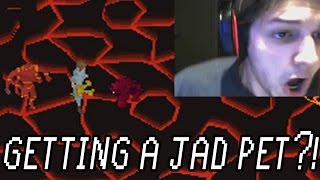 HOW TO GET THE JAD PET [upl. by Akisey254]