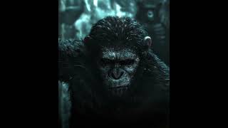 DAWN OF THE PLANET OF THE APES EDIT  CAESAR amp KOBA APES dawnoftheplanetoftheapes j6ffedit [upl. by Anagrom]