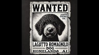 The Lagotto Romagnolo The Most Interesting Dog Breed dogbreed  LagottoRomagnolo shorts [upl. by Anaed420]