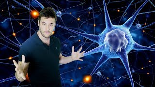 Cómo utilizar los dos hemisferios del cerebro EL PODER DE LA MENTE [upl. by Anauqal970]