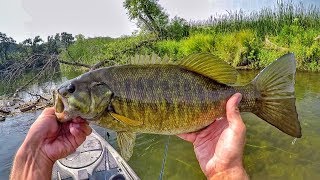 How I Fish A Stretch Of River For Summer Smallmouth [upl. by Esidarap]