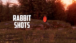 Rabbit Targets in Sporting Clays Pro Tips from 3Time National Champion Zachary Kienbaum [upl. by Klina]