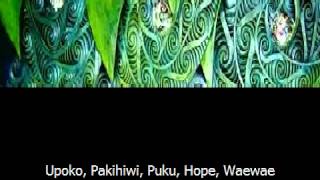 Waiata Tamariki  Te Tinana [upl. by Lansing174]