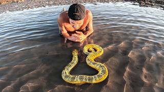 Exploring For Venomous Sea Animals In Tide Pools [upl. by Lowrie]