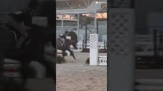 My Most recent horse show [upl. by Alema]