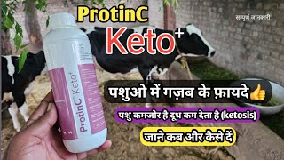 ProtinC Keto लिक्विड For Ketosis  पशुओं में कमजोरी  दूध बढ़ाये  पशुओं में गज़ब के फ़ायदे p [upl. by Anaul]