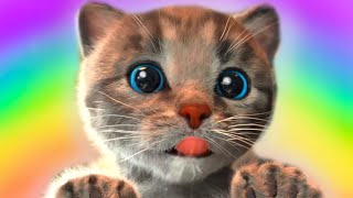 CUTE LITTLE KITTEN ADVENTURE  FUNNY KITTY amp FRIENDS ADVENTUROUS JOURNEY  LONG CARTOON FOR KIDS [upl. by Teddman]