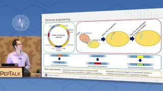 Vmax™ – a Nextgeneration Microbial Workhorse for the Biotech Industry [upl. by Pathe515]