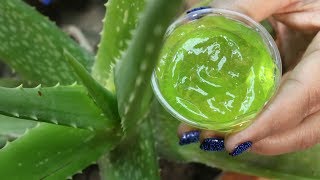 How to Make Aloe Vera Gel At Home Naturally [upl. by Aipotu138]