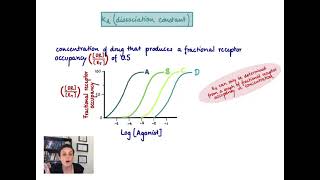 Brandls Basics The dissociation constant Kd [upl. by Grimbal]