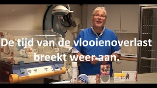 De tijd van de vlooienoverlast breekt weer aan [upl. by Seavey978]