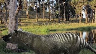 Eye of the Tiger Woods GoPro View 4Iron [upl. by Radek]