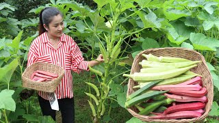 quot 3 colors of okra quot Harvest okra and vegetables in my garden for cooking  Country chefs [upl. by Elna]