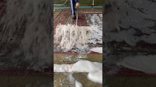 Foam scraping 312 satisfying asmr carpetcleganin Newaladdin shorts [upl. by Ihn393]