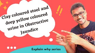 Clay coloured stool and deep yellow coloured urine in Obstructive Jaundice WHY [upl. by Rozella]