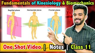 Fundamentals of Kinesiology and Biomechanics in Sports  Class 11  Unit  8  FREE Notes 🔥 [upl. by Franciskus]