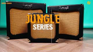 Best Budget DSP Guitar Amplifier  Procraft Jungle DSP Electric Guitar Amplifier  RAW REVIEWS [upl. by Rasia150]