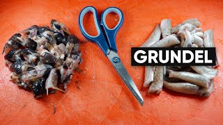 Grundel  Filetieren XXL  Fisch und Grips [upl. by Laet]